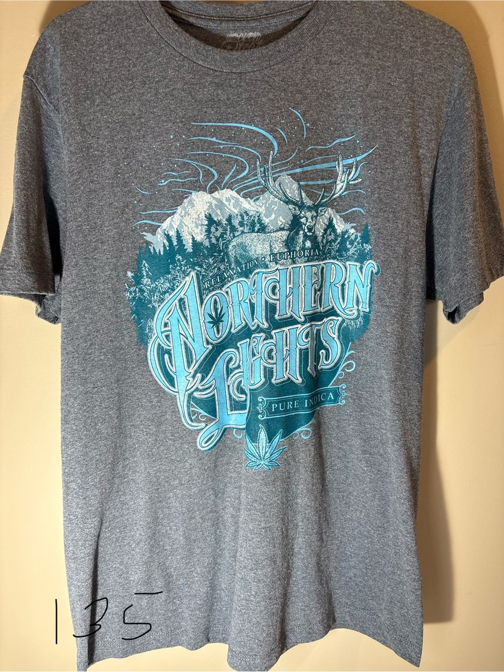 Northern Lights Graphic Tee - Heather Gray with Teal Print 420 friendly